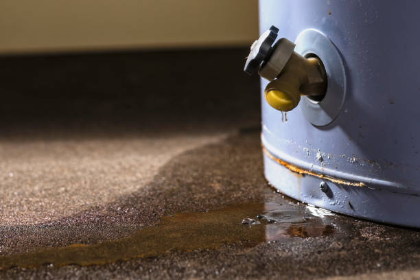 Best Professional water damage repair  in San Gabriel, CA