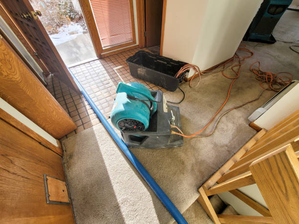Best Water damage cleanup near me  in San Gabriel, CA