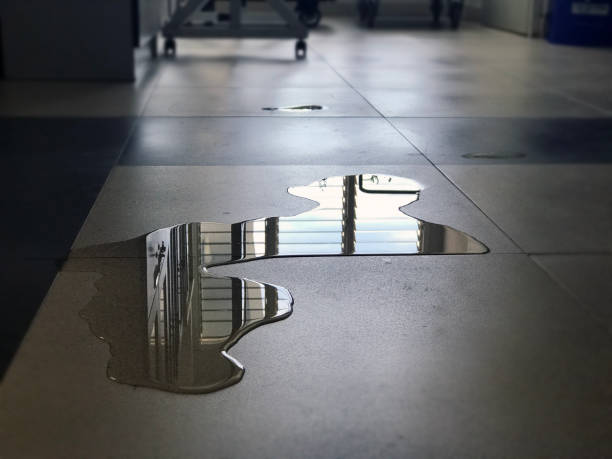 Best Water damage contractors near me  in San Gabriel, CA