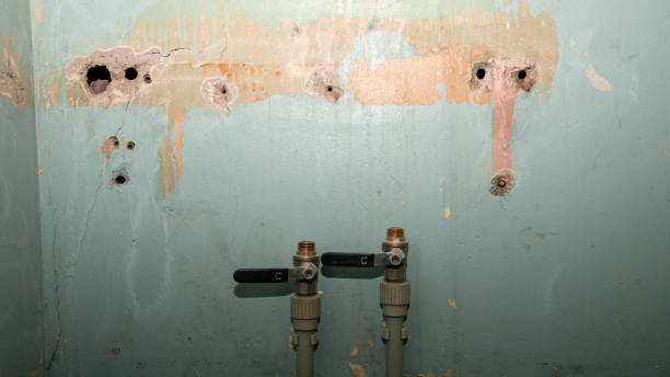 Best Flood restoration services  in San Gabriel, CA