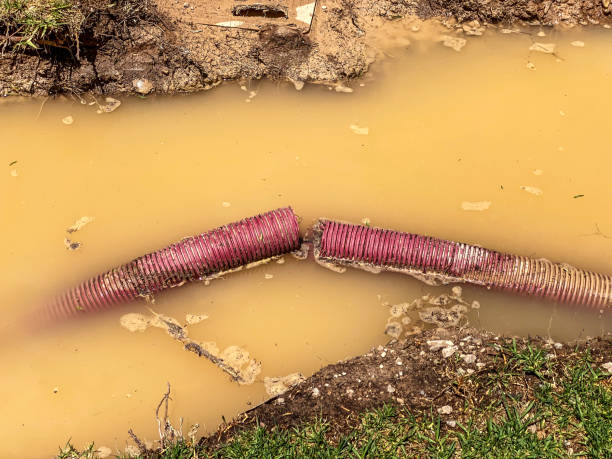 Best Carpet water damage restoration  in San Gabriel, CA