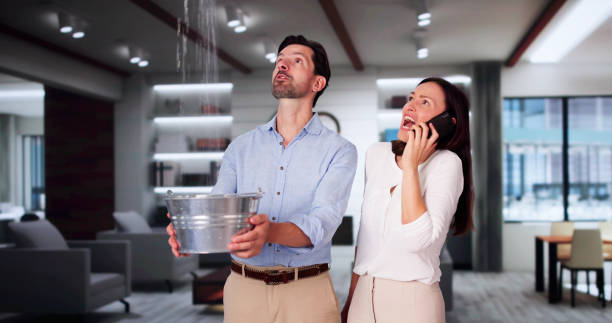 Best Local water damage restoration  in San Gabriel, CA